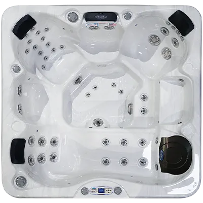 Avalon EC-849L hot tubs for sale in Casper